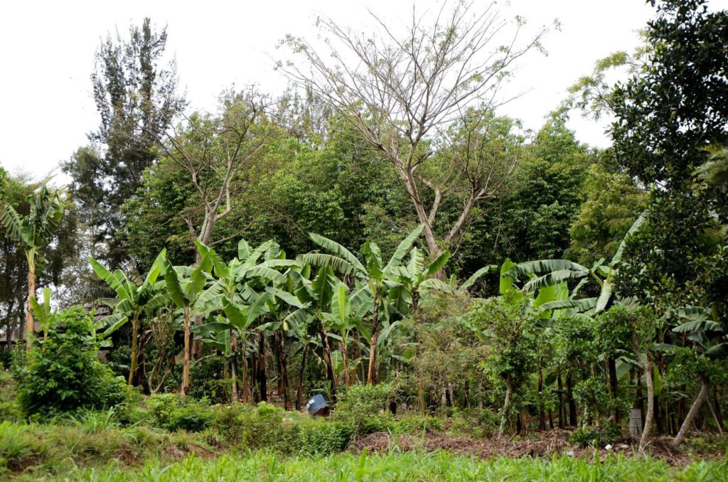 agro-ecologie bron