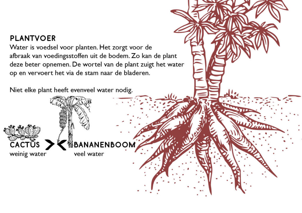 Banaan_InfografiekWater